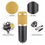 LAVA Condenser Microphone BM-800 Studio Recording Professional Without Stand Black and Gold