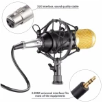 LAVA Condenser Microphone BM-800 Studio Recording Professional Without Stand Black and Gold