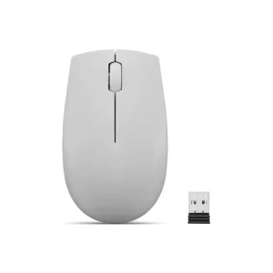 Lenovo 300 Wireless Compact Mouse (Arctic Grey) with battery -  GY51L15678