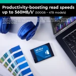 Western Digital WD Blue SA510 Internal Solid State Drive, 500 GB SSD, 2.5 Inch SATA - ‎WDS500G3B0A