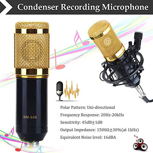 bm800 microphone