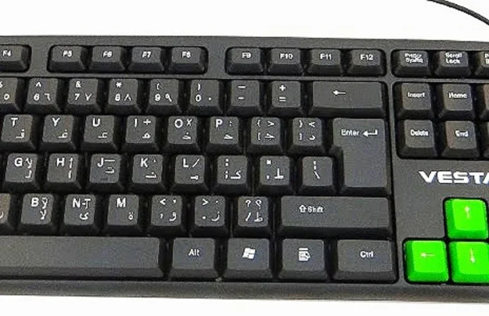 VESTA Wired USB Keyboard for Computer Black