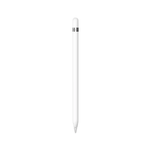 Apple Pencil 1st Generation with USB-C to Pencil Adapter MQLY3AM/A - White